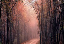 隆多因非法持枪持毒被捕 认罪后被判2天监禁.