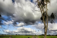 亚博体育官网：凯尔特人本赛季6场客场25+大胜 历史第3多 仅次于16马刺和22绿军.